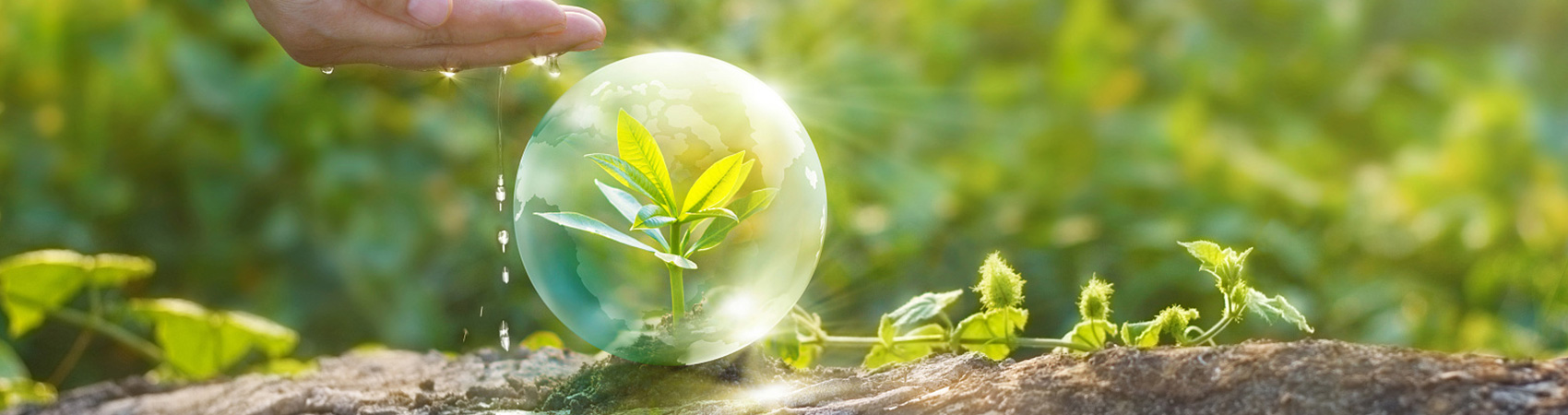 專(zhuān)業(yè)團(tuán)隊(duì)